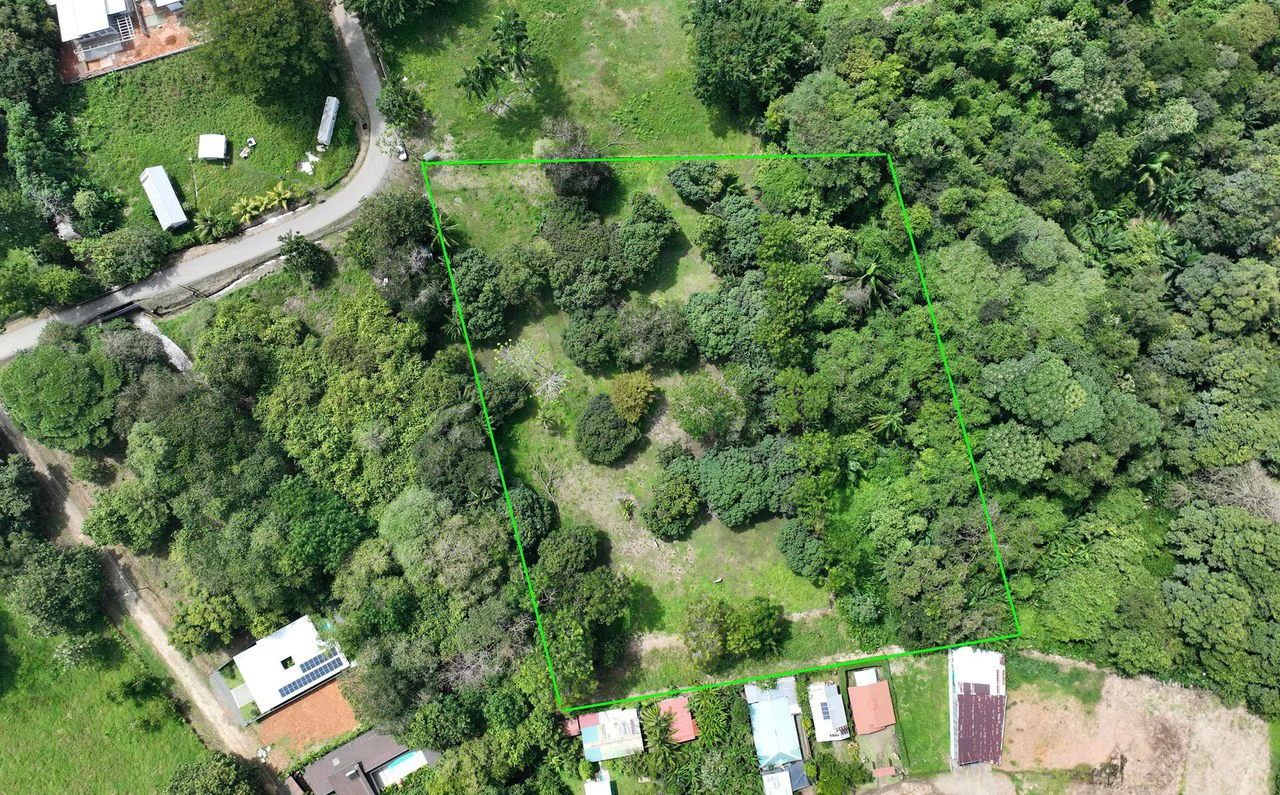 DEVELOPERS DREAM! Bahia, Uvita, walk to the beach!: Mountain Agricultural Land For Sale in Uvita - Gallery image 5