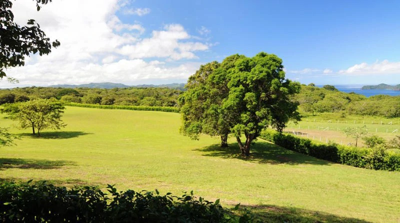 Near the Coast, Oceanfront and Riverfront Agricultural Land For Sale in Papagayo Gulf - Gallery image 2