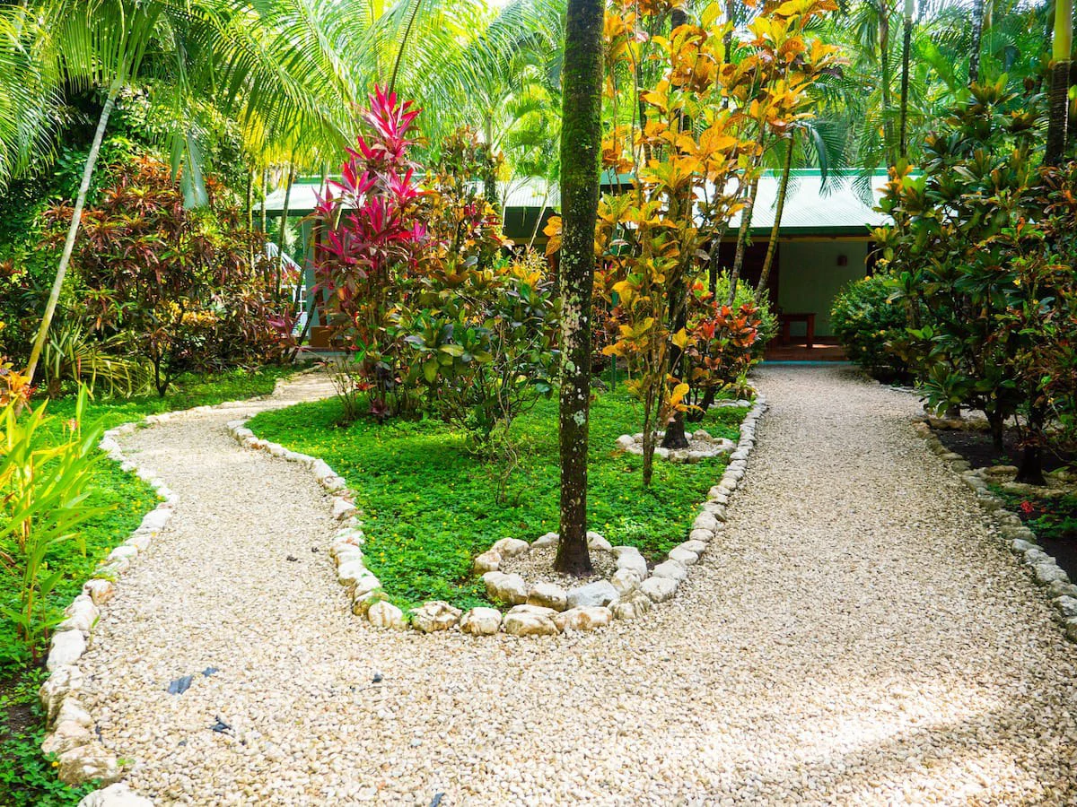 Property with Five Units in the heart of Guiones Beach - Nosara - Gallery image 17