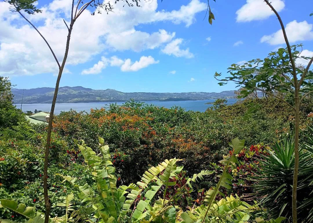 CASA  TROPICANA - Lake View Oasis Near Nuevo Arenal - Gallery image 28