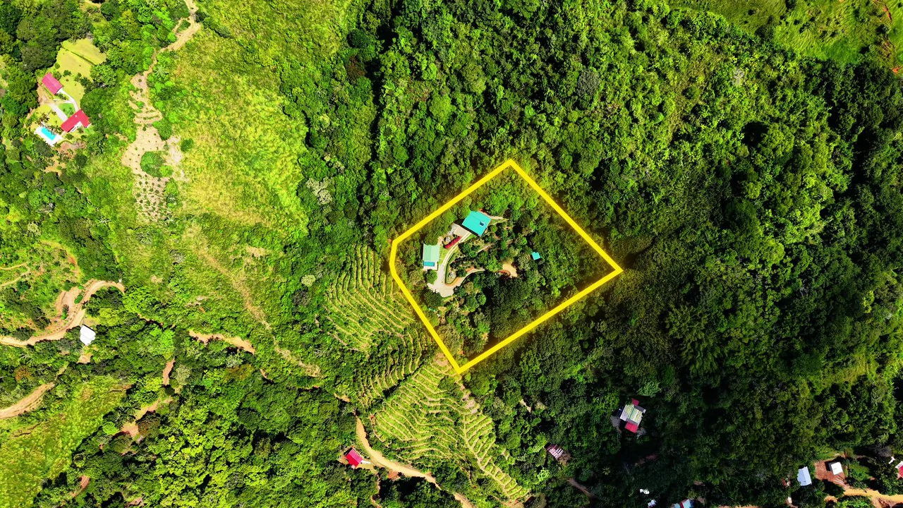 Mountain House For Sale in San Isidro del General - photo 3