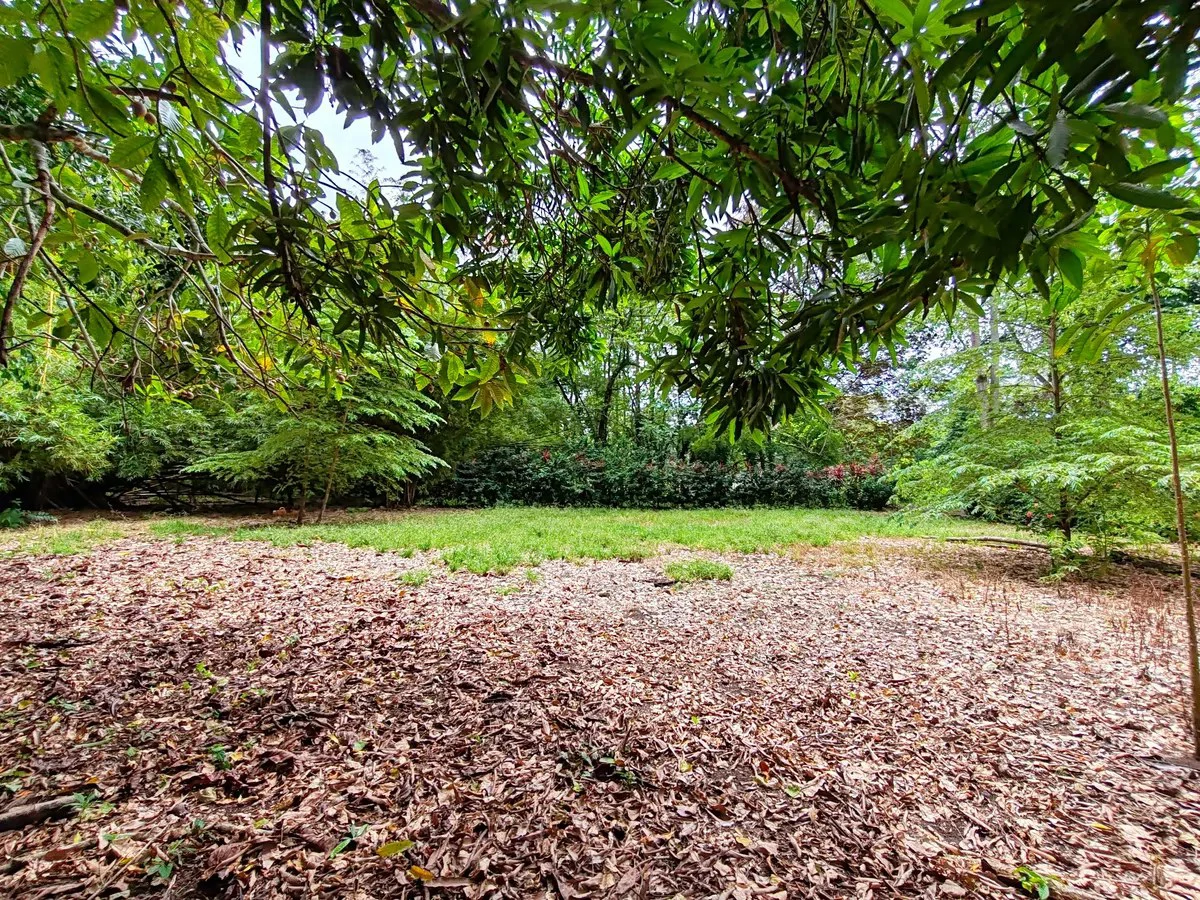 ID 1044: Build Ready Land Between Cahuita National Park and Puerto Viejo