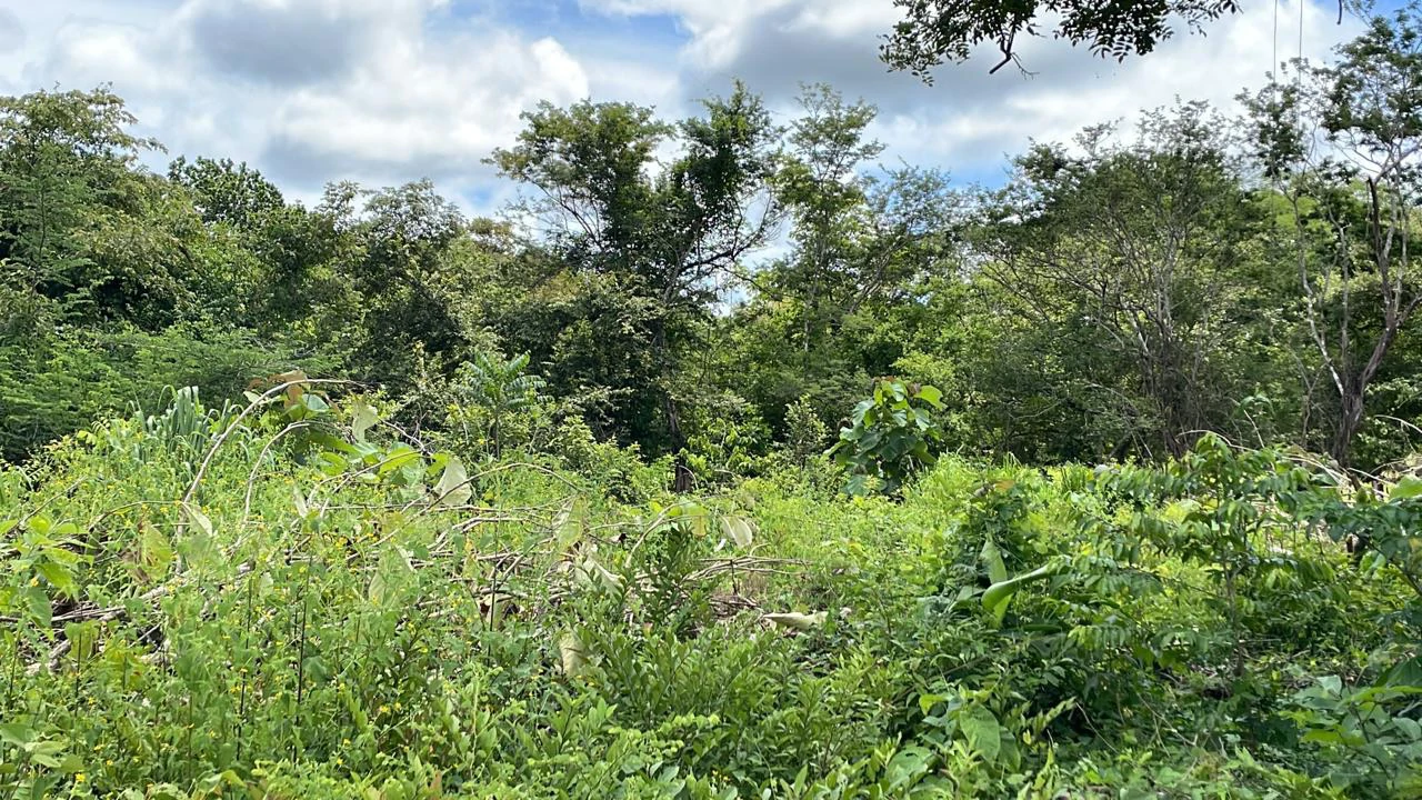 Countryside Agricultural Land For Sale in Limonal - Gallery image 9