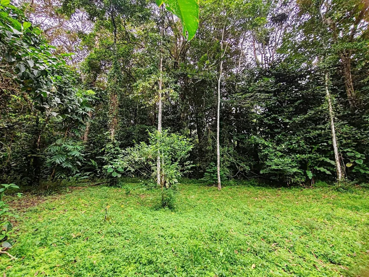 ID 651: Titled Building Lot near Punta Uva Beach: 5875 sqm with Creek - Gallery image 3