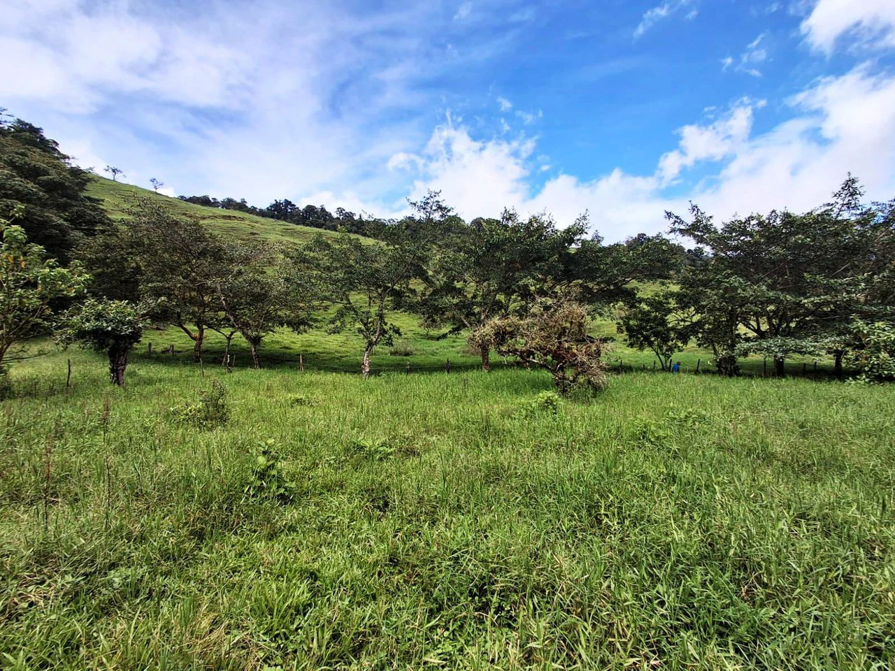 INVESTOR & DEVELOPER ALERT: High-Visibility Investment Property in the Heart of Tourist-Friendly Zarcero - Gallery image 13