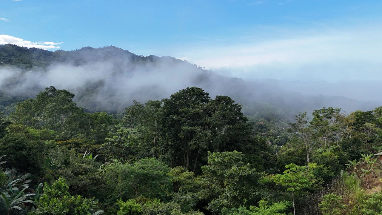Lote en Chimirol.: Mountain Home Construction Site For Sale in Buena Vista - Gallery image 8