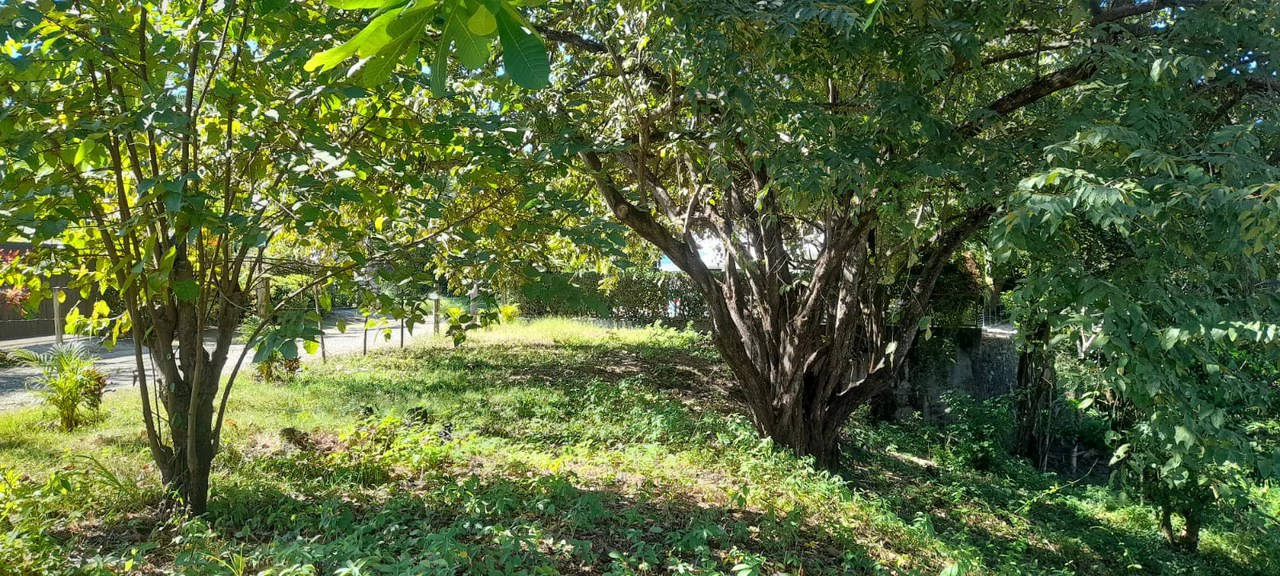 Playa Carrillo Lot: 200 meters to Playa Carrillo - Gallery image 15