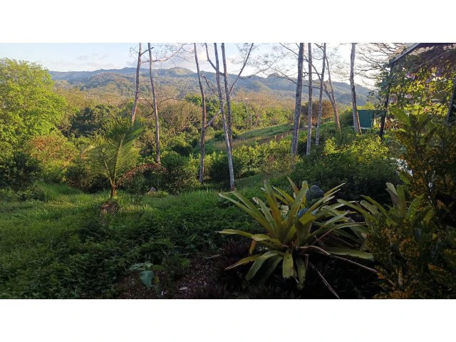 Stunning Dream Home and Pool with Separate cute smart Apartment building for Sale Surrounded by lush nature in the soft rolling hills of Hojancha - Gallery image 17