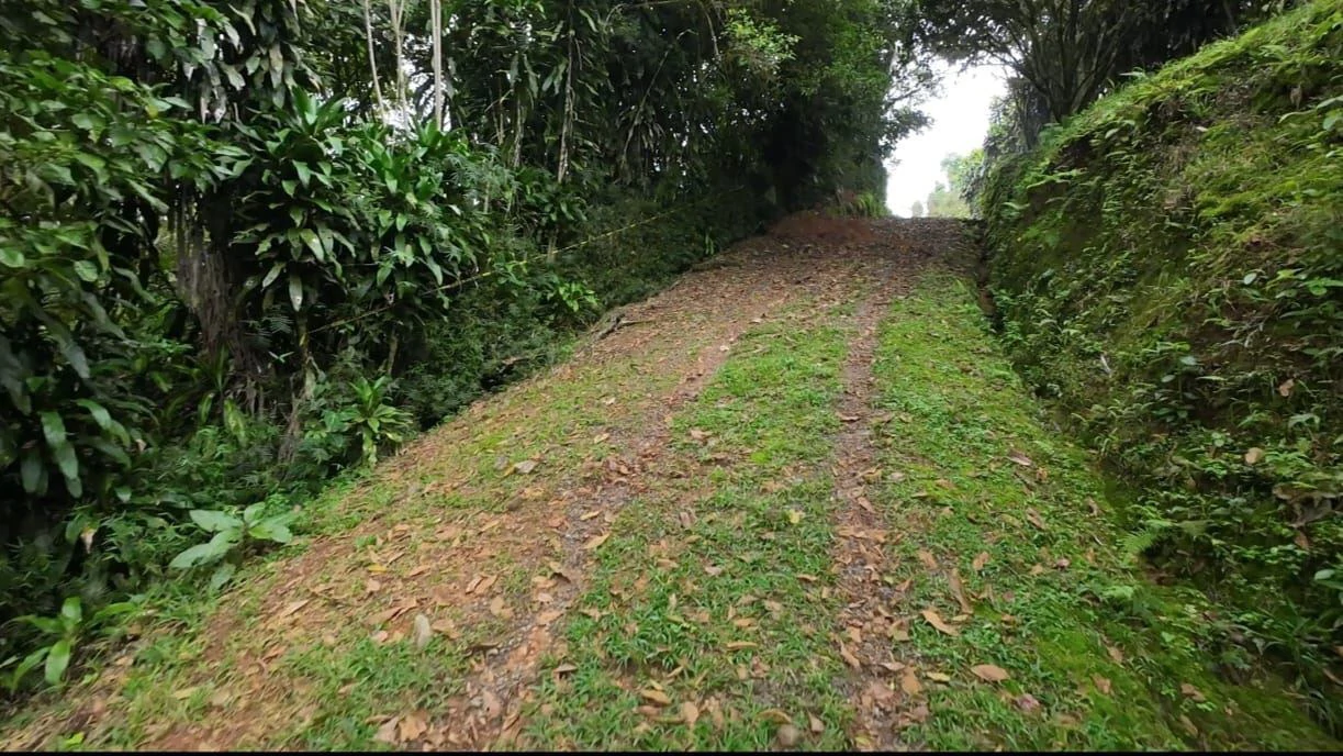 LOTE EN VENTA ALTO SAN JUAN, COSTA RICA: Mountain Home Construction Site For Sale in Barú - Gallery image 11