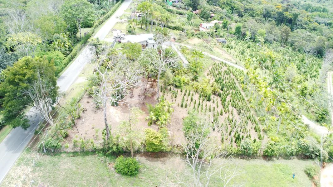 Propiedad en La Bonita Emma-137480: Mountain and Countryside Home Construction Site For Sale in San Isidro del General - Gallery image 6