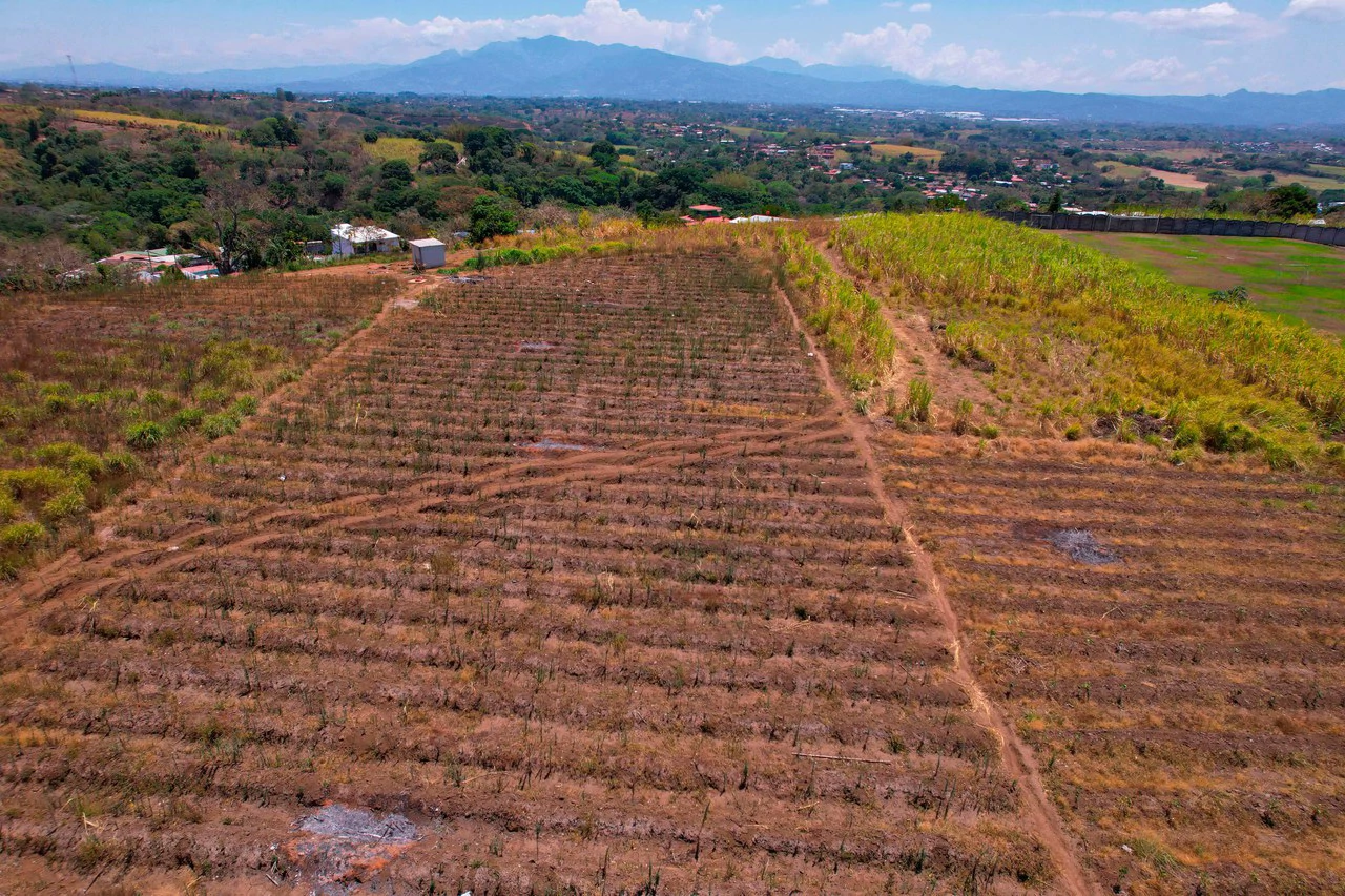 Land for Sale for Investment in Grecia - Gallery image 4