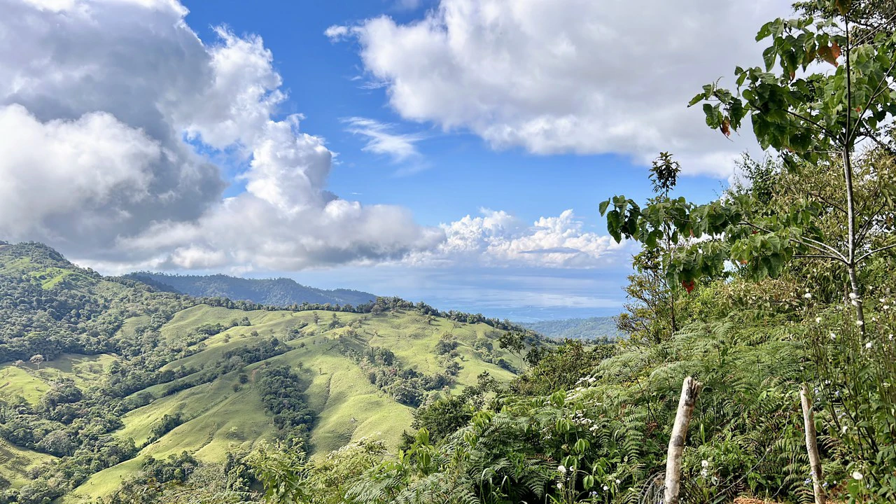 Finca Ceibo Memo: Mountain Home Construction Site For Sale in San Isidro del General - Gallery image 4