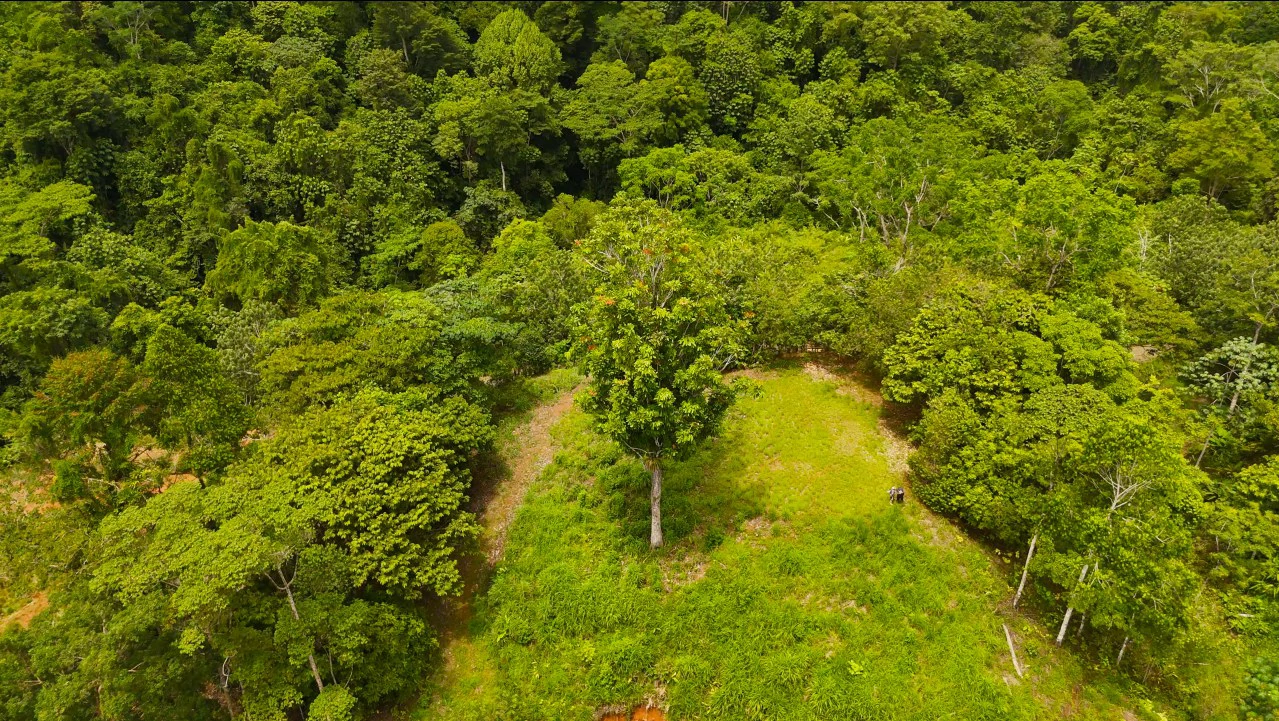 GULF VIEW PROPERTY IN PUERTO JIMENEZ, COSTA RICA - Gallery image 12