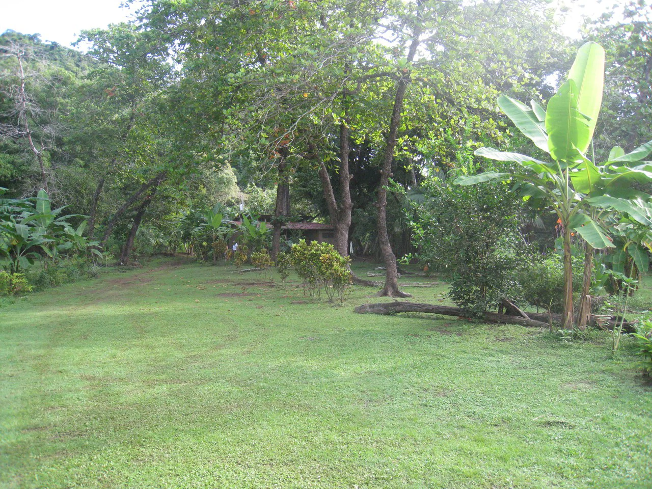 Rare Titled Beachfront Property with House - Gallery image 10
