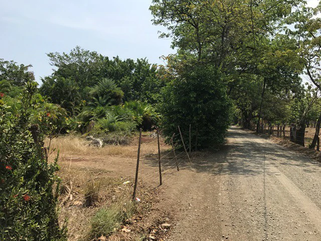 Great property in Santa Cruz: Excellent opportunity to develop in excellent location - Gallery image 2