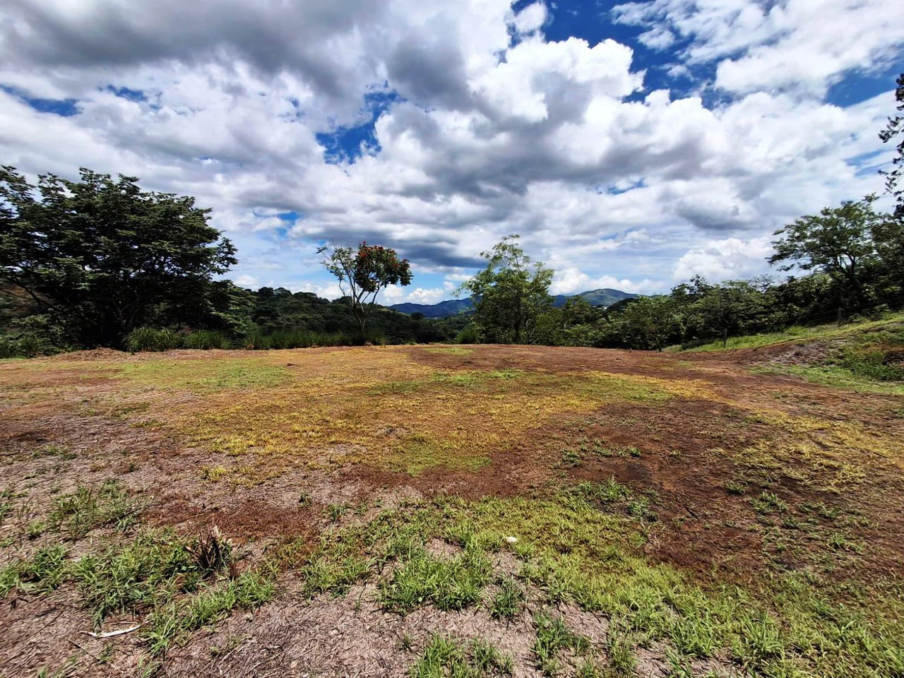 Flat and Private...Beautiful...Flat Lot close to town! - Gallery image 5