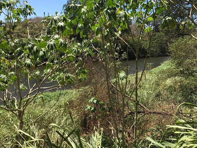 Huge terrain for sale in Guardia close to the International Airport of Liberia - Gallery image 16
