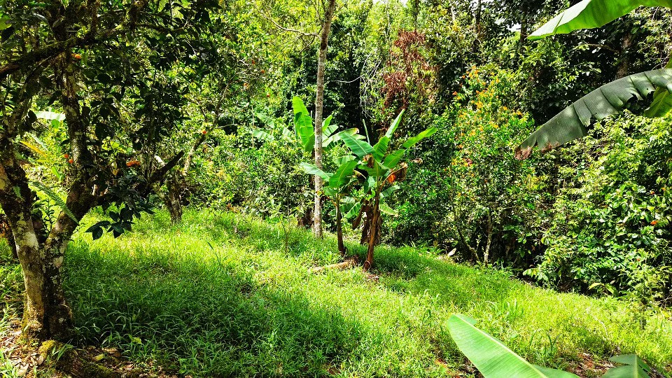 Home Construction Site For Sale in San Rafael Norte - Gallery image 23