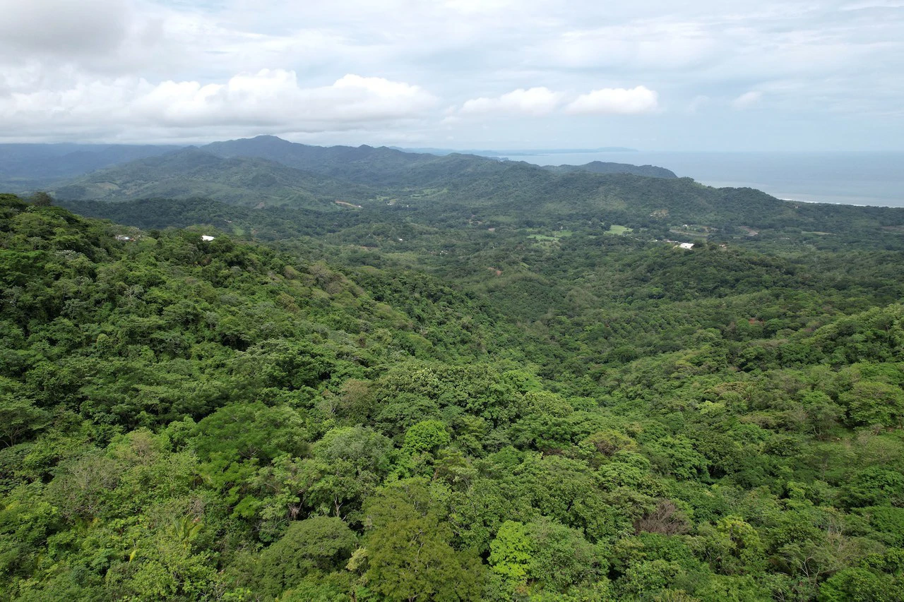 Lotes Paraíso: Spectacular Ocean and Mountain View 5.77 acres Development Land - Gallery image 11