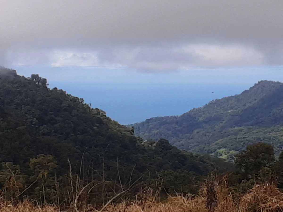 Finca Tesoro Escondido - The Jewel of Uvita - Gallery image 10