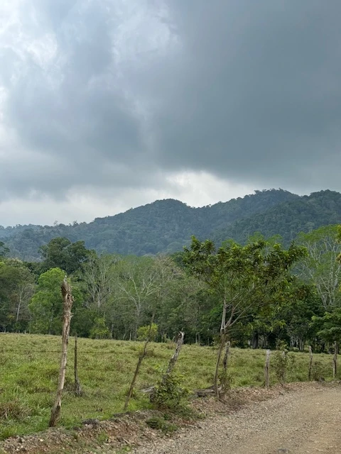Finca Herradura, Frente a Los Sueños: Development Land Herradura - Gallery image 8
