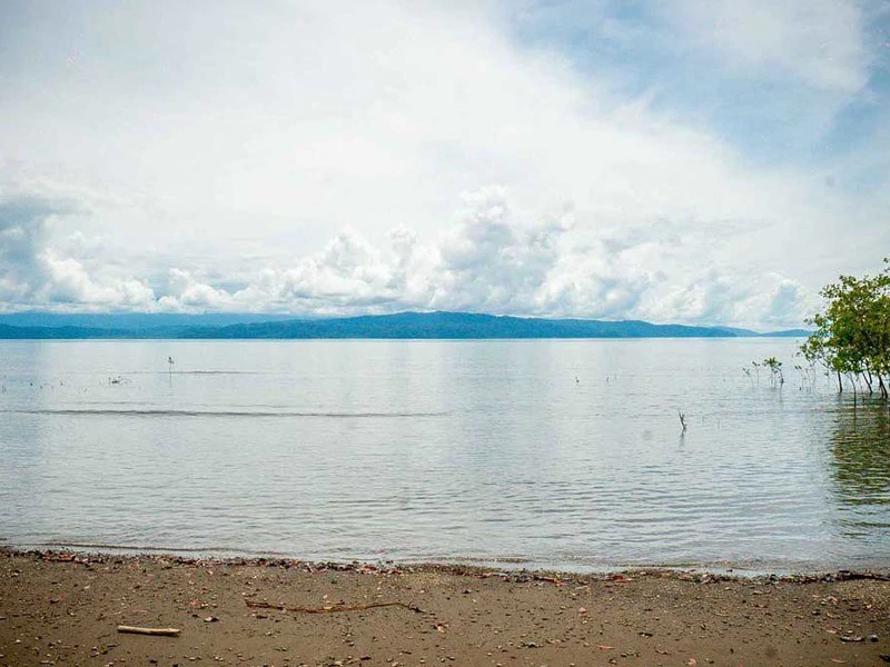 Titled Beach Property in the Osa