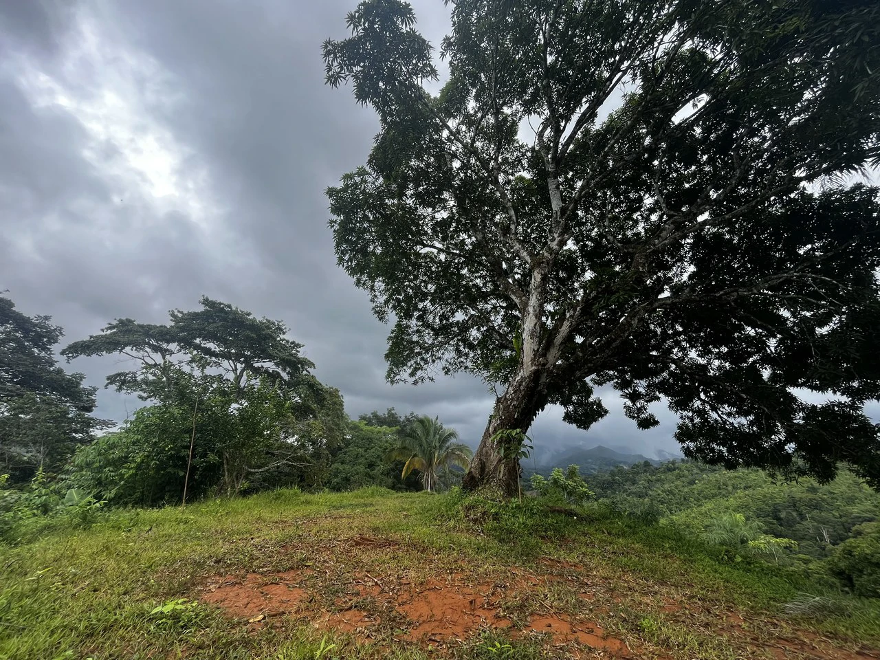 SPECTACULAR ECOLOGICAL MOUNTAIN FARM IN BIJAGUAL DE TURRUBARES - Gallery image 34