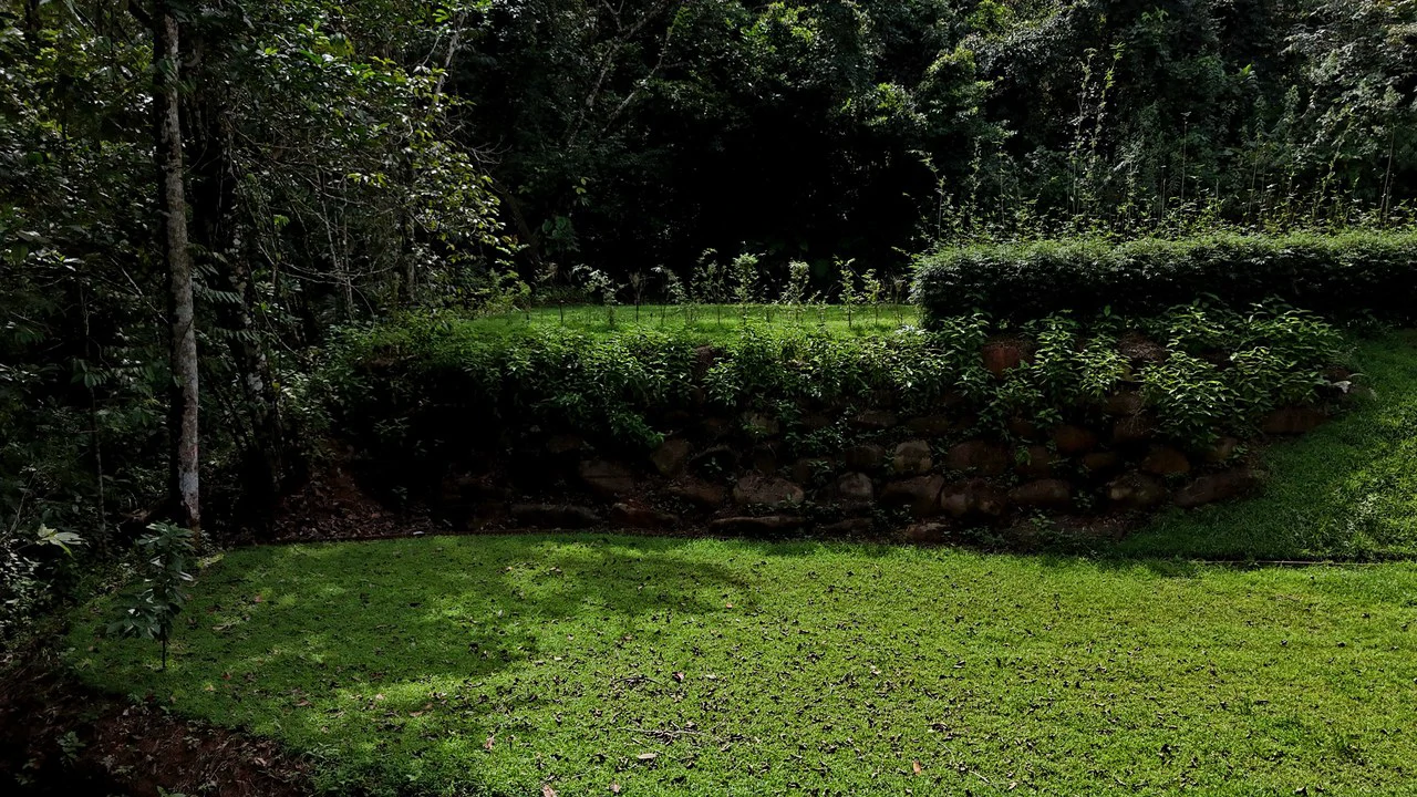 Tropical Paradise in Uvita: 939 sqm Property with Dual Building Sites, 5 Minutes from the Beach - Gallery image 8