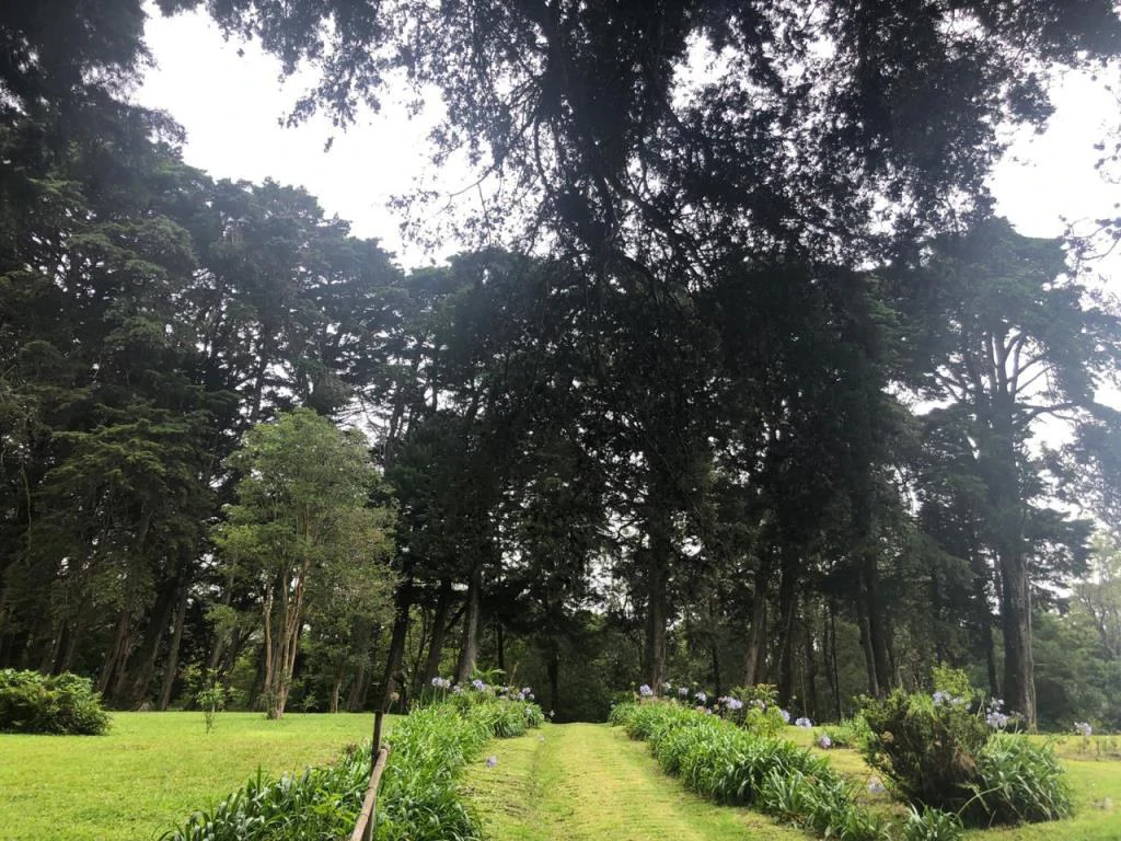 Horse ranch mountain farmland with its own stable's in San Rafael, Heredia - Gallery image 37