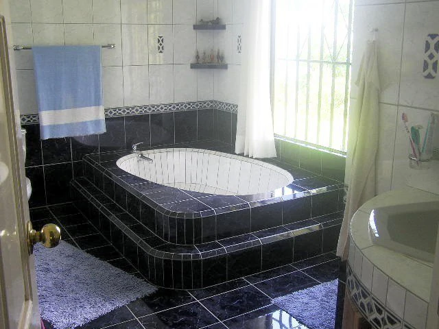 CASA  TROPICANA - Lake View Oasis Near Nuevo Arenal - Gallery image 15
