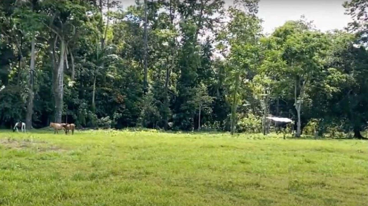 Westfalia, Matama: Countryside and Near the Coast Home Construction Site For Sale in Beverley - Gallery image 8