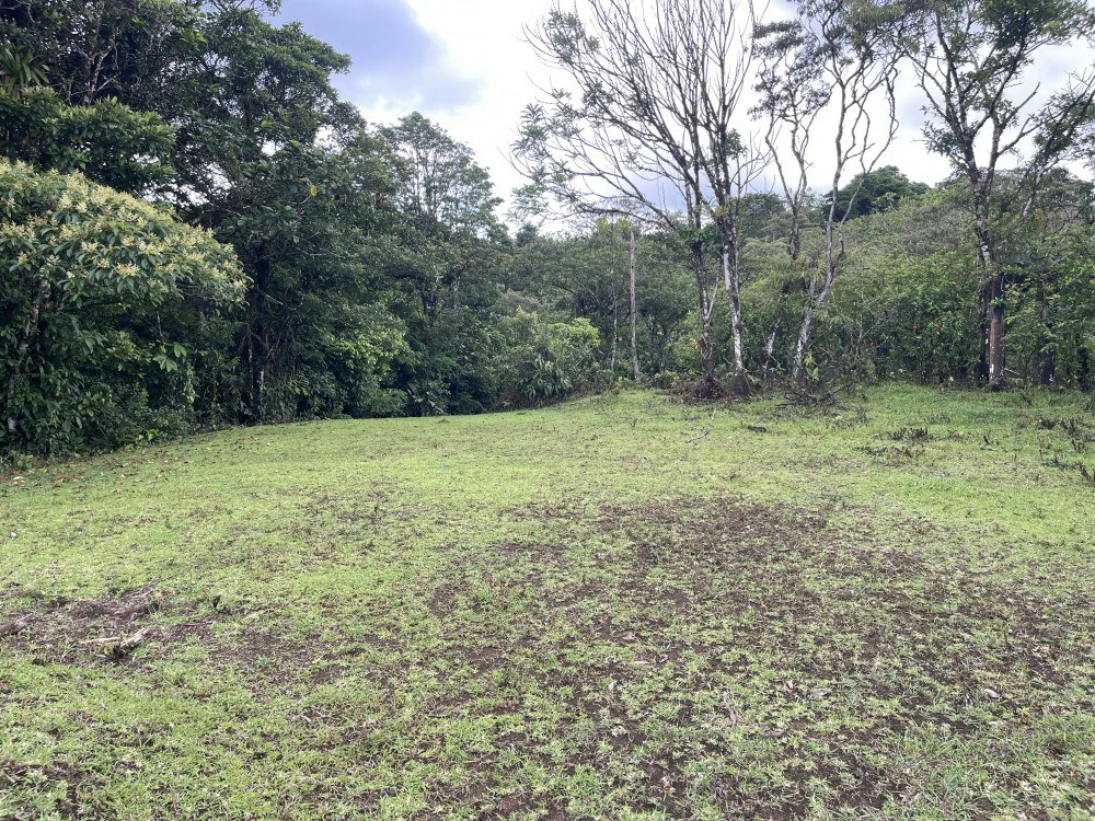 Nuevo arenal: Looking for a Property to Develop Family Residences with Lake Views? - Gallery image 37