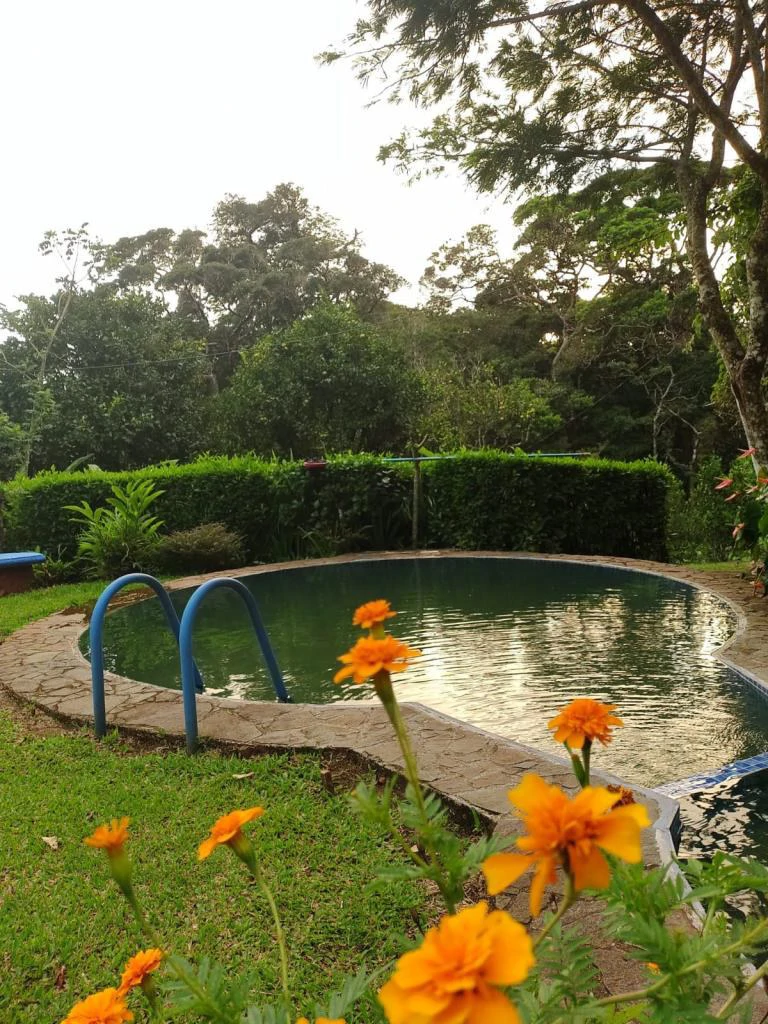 TURNKEY SOLUTION ECO MOUNTAIN LODGE FOR SALE - Gallery image 76