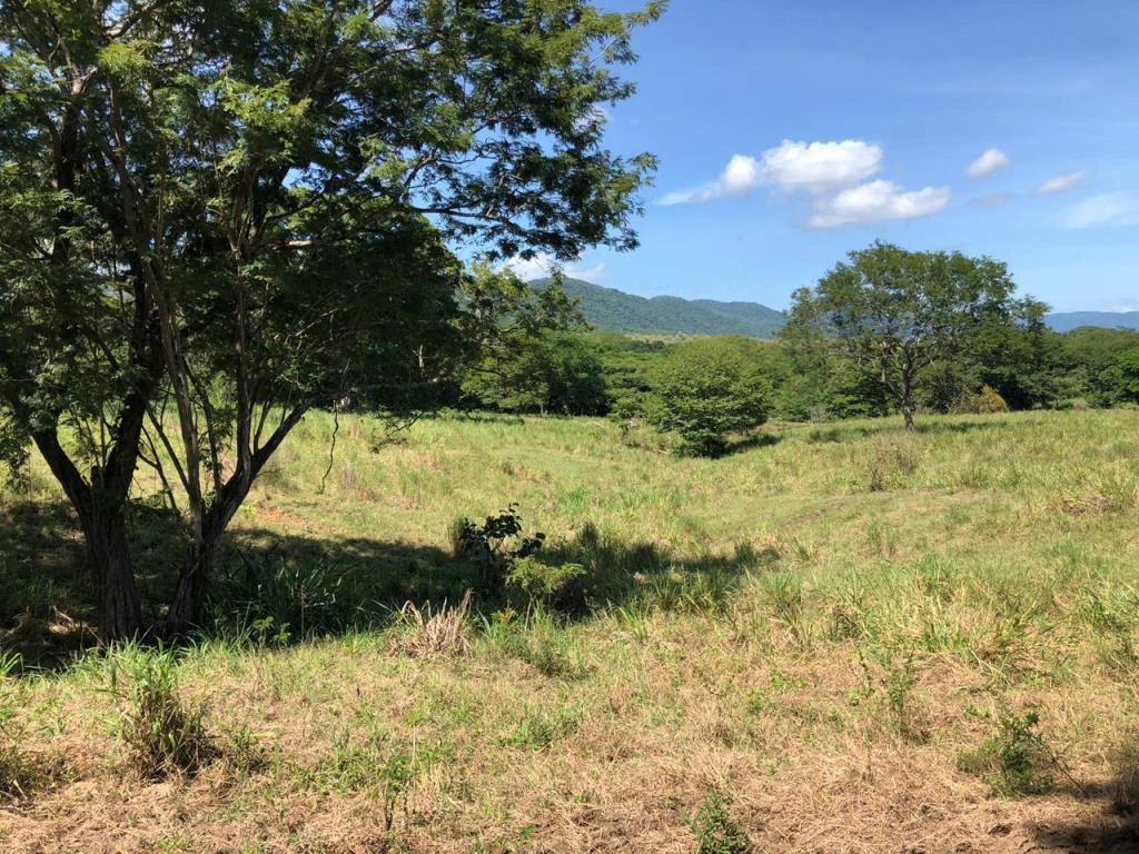 Huge dream Cattle farm for sale with 2 houses close to the Gulf of Nicoya, Guanacaste, Costa Rica - Gallery image 38