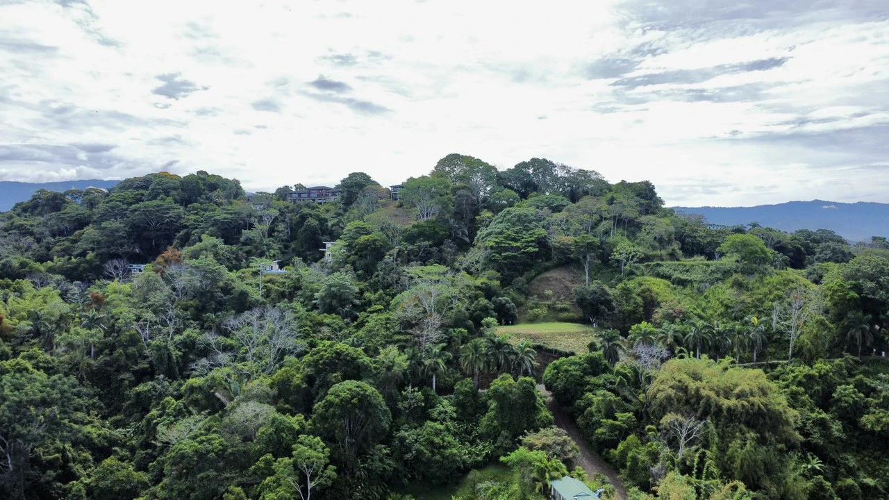 3.6 Acre Ocean View, Near the Beach & Cool Mountain Elevation: Mountain Home Construction Site For Sale in Lagunas - Gallery image 5