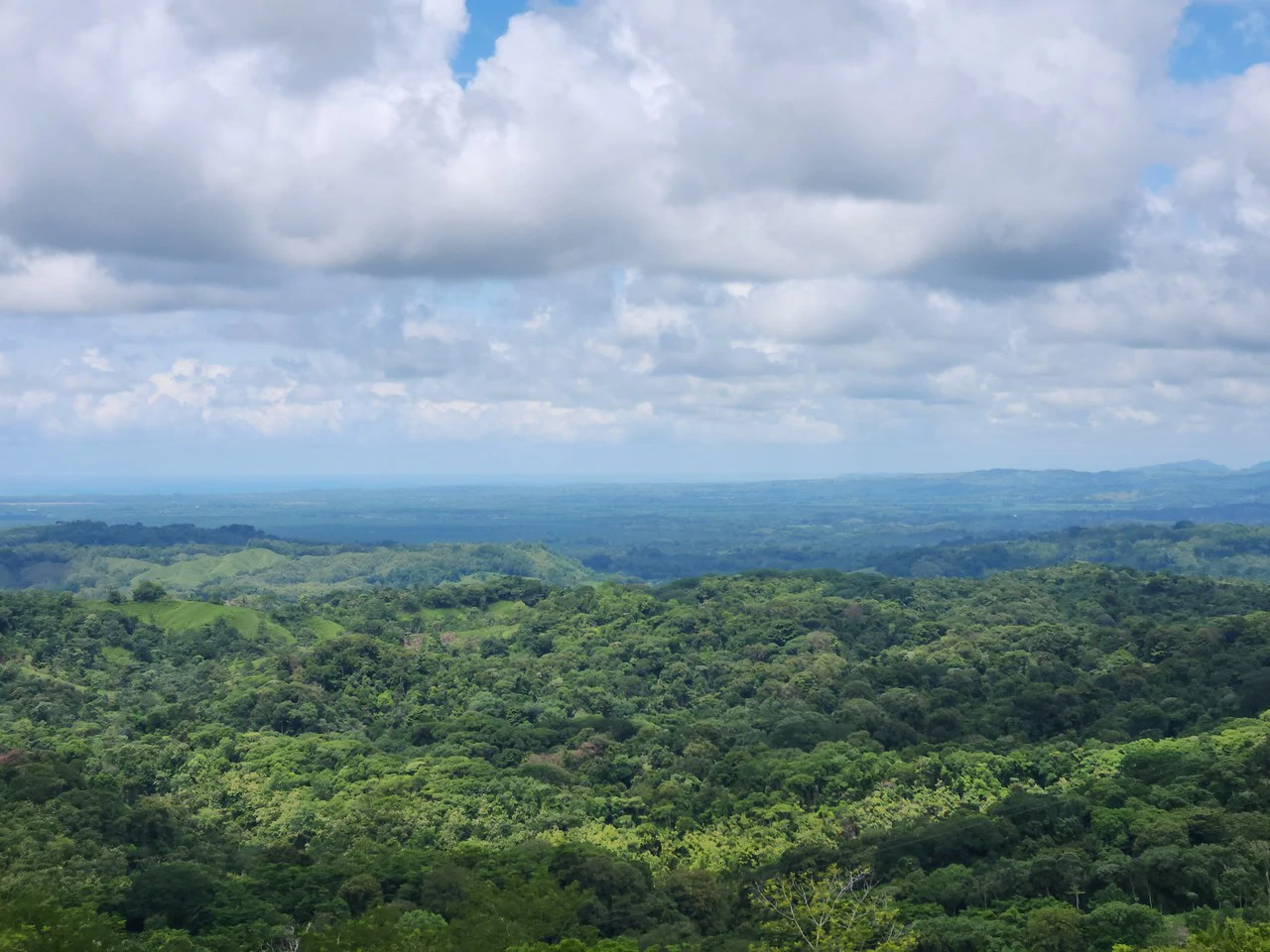 PRIME PARRITA FARM FOR SALE - Gallery image 21