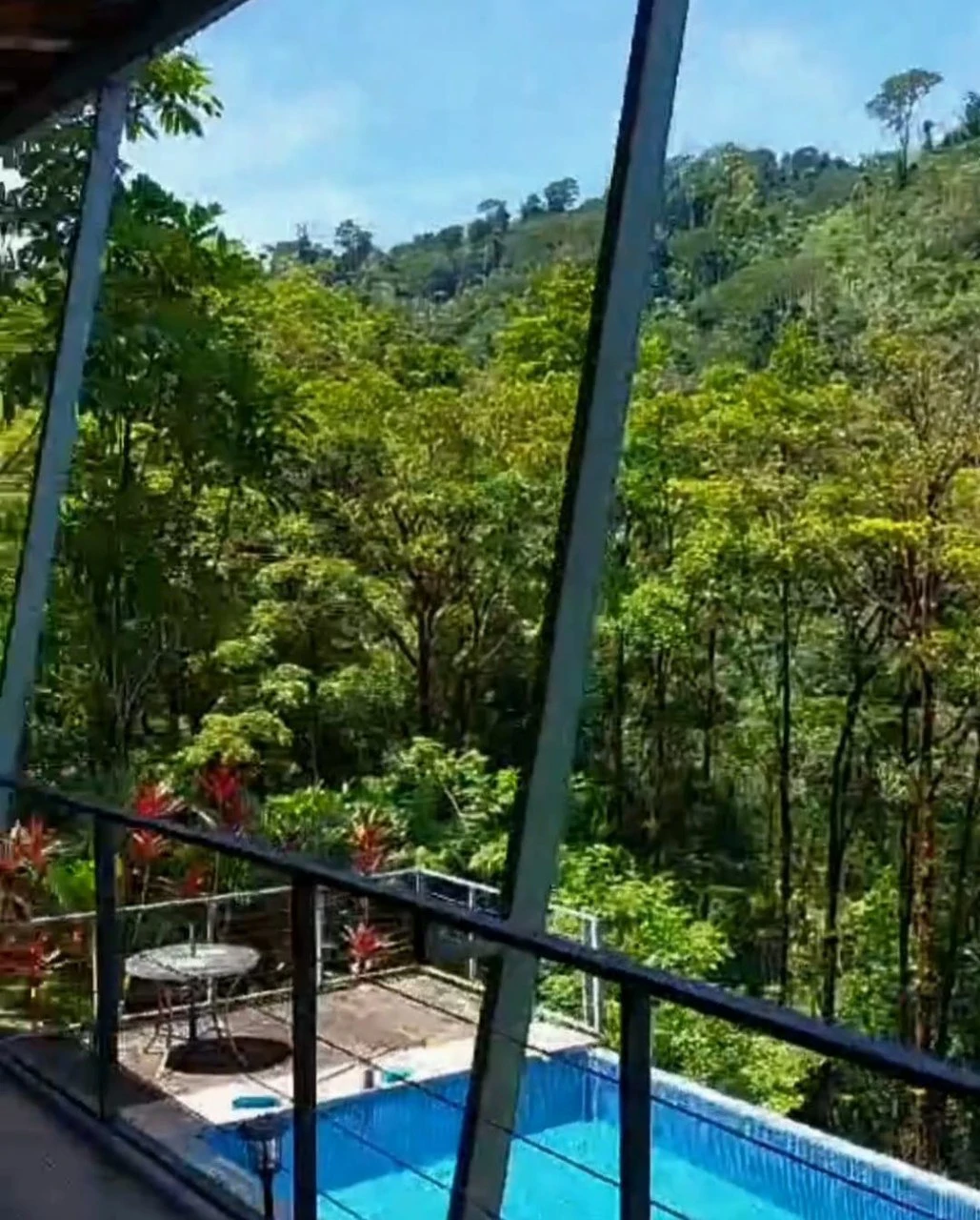 ENCHANTING 43-HECTARE FINCA WITH MODERN WOODEN CABIN AND INFINITY POOL - Gallery image 32