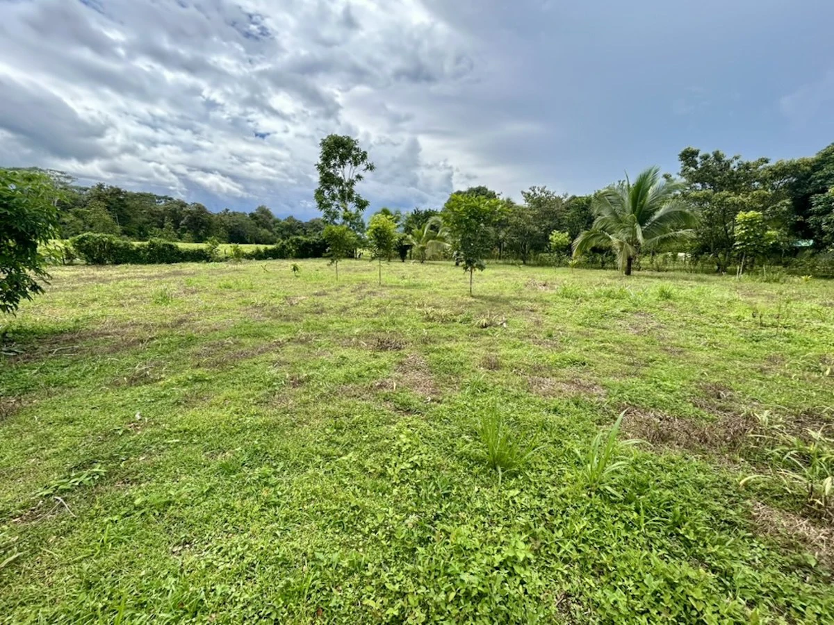 Large Building Lot Near Puerto Jiménez - Gallery image 9