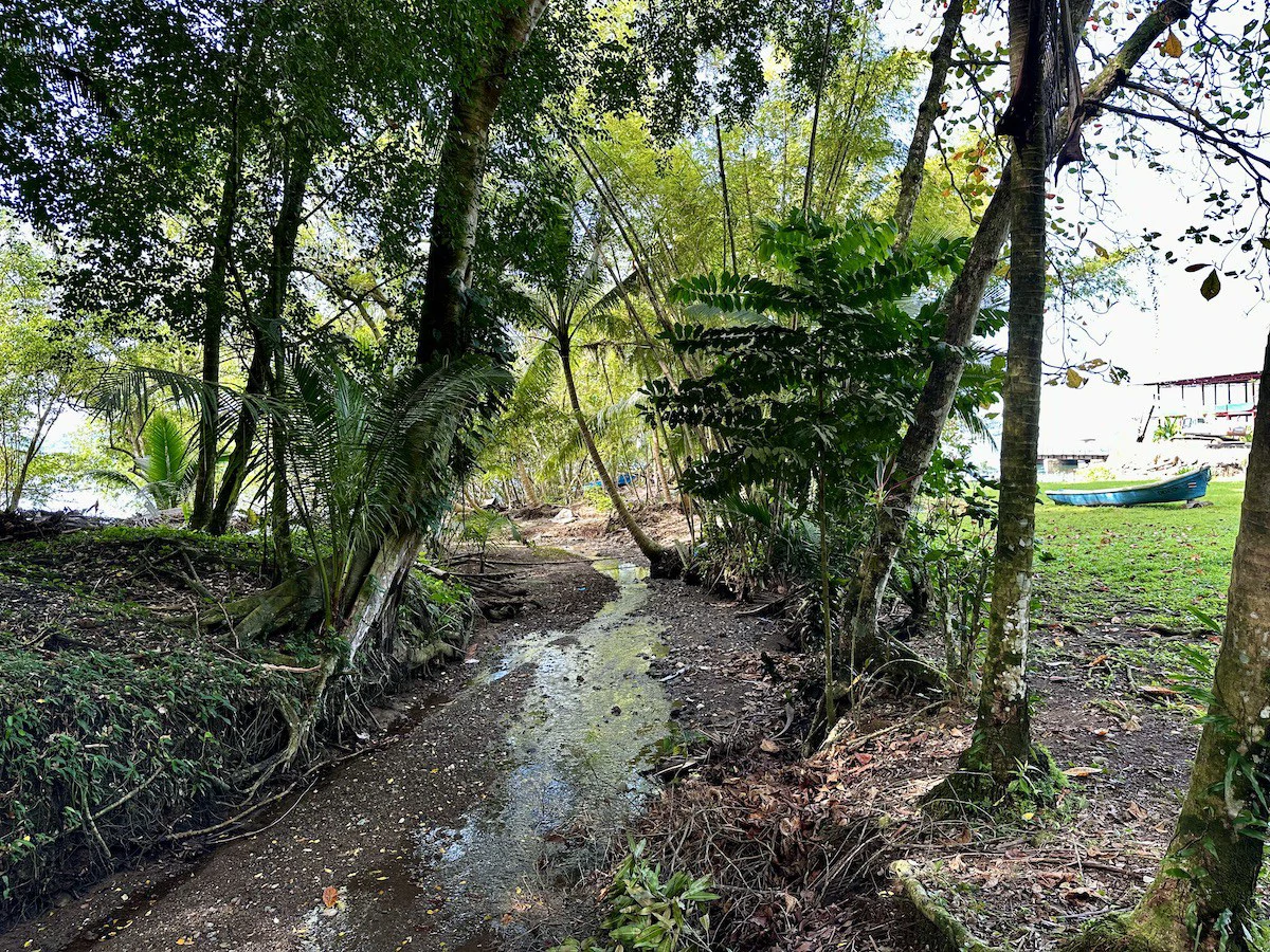 Titled Waterfront Property Golfito Bay - Gallery image 13