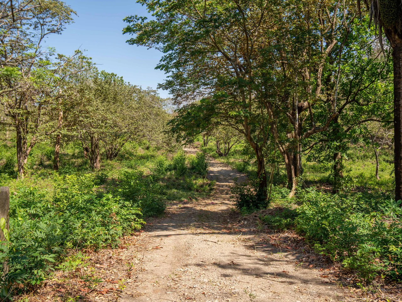 Finca Punta Indio: Dream Investment Opportunity - Gallery image 5