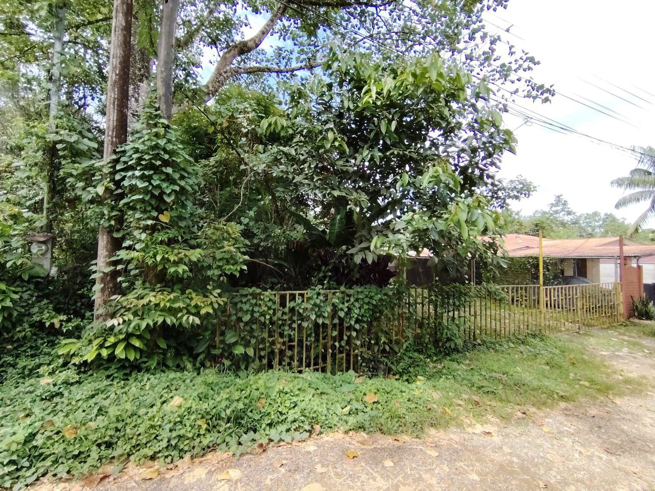 Propiedad en venta, General Viejo, Perez Zeledon.: Mountain House For Sale in General Viejo - Gallery image 7