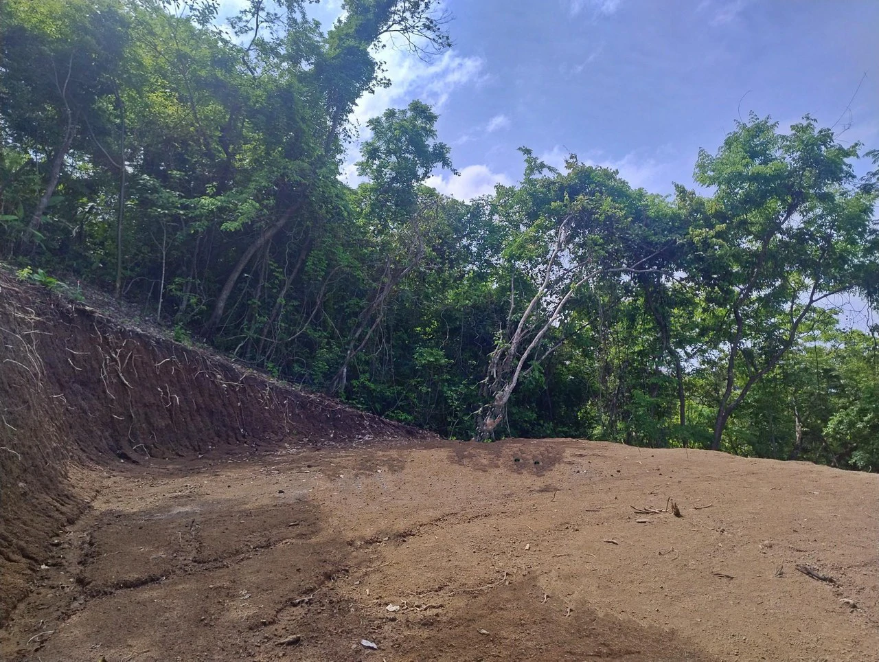 Hilltop Lot Surrounded by Nature - photo 4