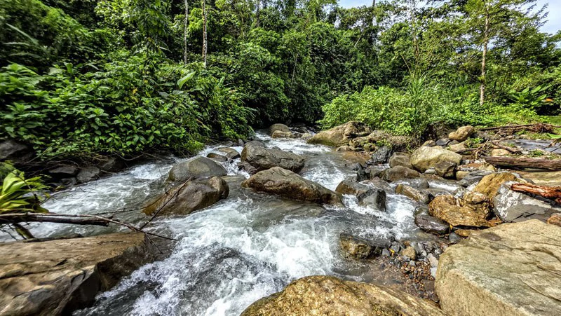 Waterfall Estate, Dos Bocas, Dominical Featuring Twin Waterfalls, Springs, Creeks & Rivers - Gallery image 21