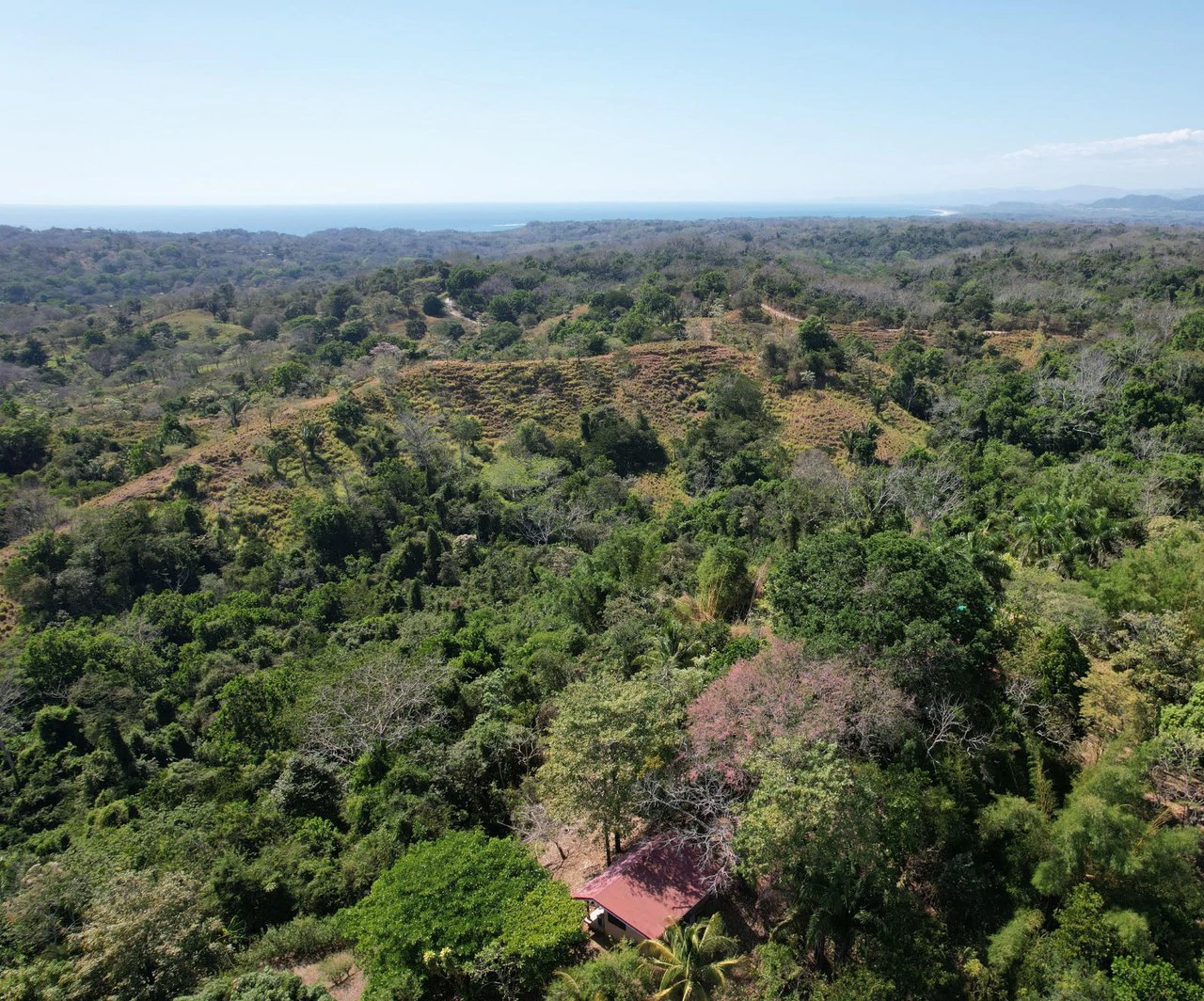Finca Cobano. Santa Teresa: Near the Coast Agricultural Land For Sale in Santa Teresa - Gallery image 3