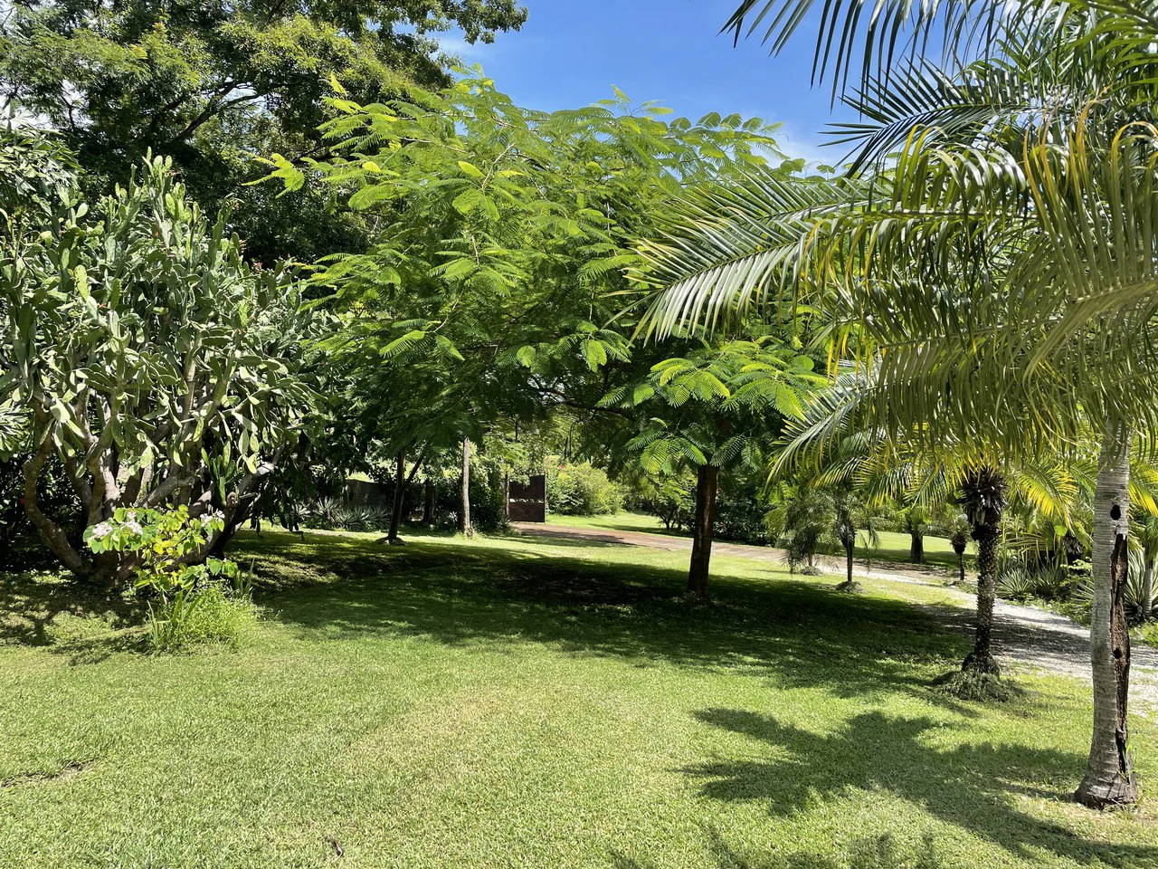Preciosa finca: Beautiful estate with two houses and an apartment with fine finishes - Gallery image 10