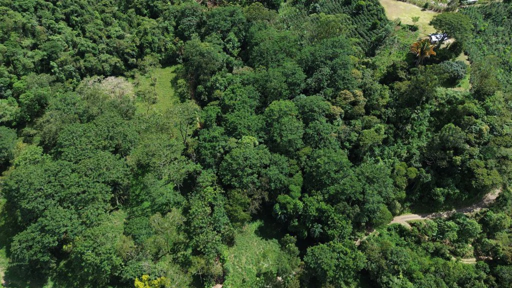 Mountain Home Construction Site For Sale in Guadalupe