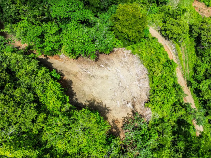 Lote Vista Lapa - 2.1 Acre Ocean View Lot: Countryside Home Construction Site For Sale in Playa Samara - Gallery image 4
