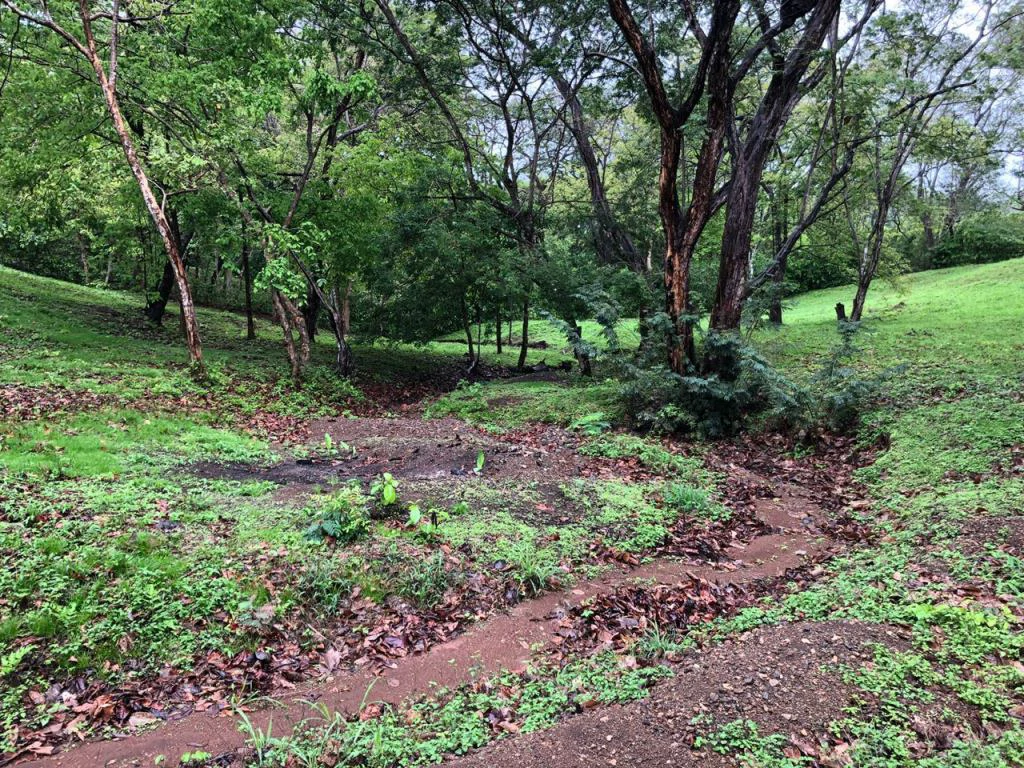 Lot in exclusive Residential, close to Beach Tamarindo - Gallery image 25