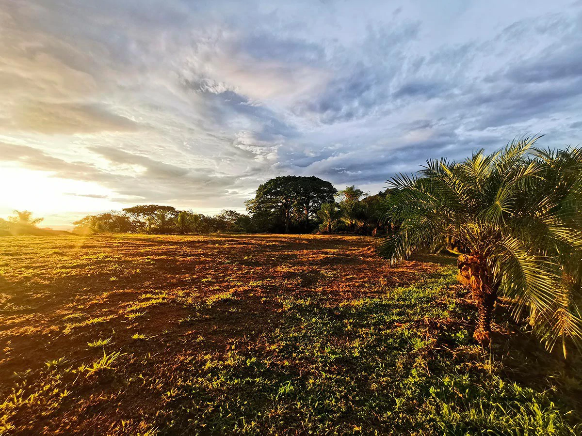 ID 3700: Price Slash! Ocean and Mountain View Lot close to Atenas and the beach - Gallery image 4