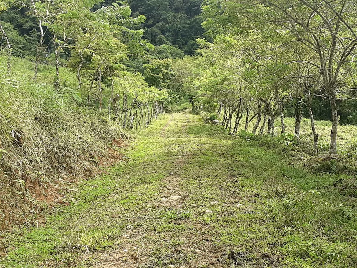 Finca Tesoro Escondido - The Jewel of Uvita - Gallery image 52